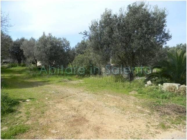 Terreno agricolo Morciano di Leuca - foto 3