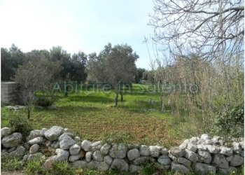 Terreno agricolo Morciano di Leuca - foto 4