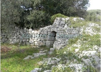 Terreno agricolo Morciano di Leuca - foto 5