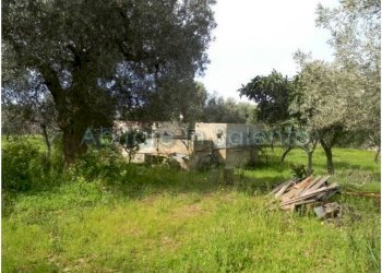 Terreno agricolo Morciano di Leuca - foto 8