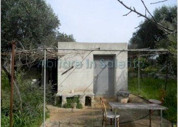 Terreno agricolo Morciano di Leuca - foto 14