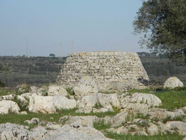 Agricultural land Località Macchia Fersini-Primitivo, Salve - photo 3