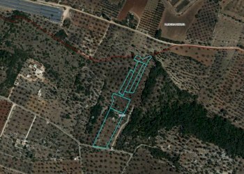 Aerofotogrammetria - Agricultural land Località Macchia Fersini-Primitivo, Salve - photo 11