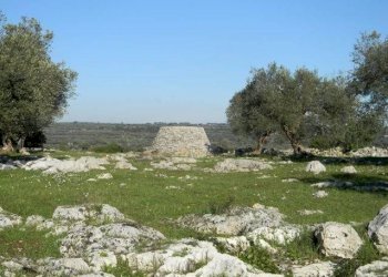 Agricultural land Località Macchia Fersini-Primitivo, Salve - photo 2