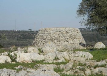 Agricultural land Località Macchia Fersini-Primitivo, Salve - photo 3