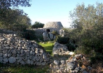 Agricultural land Località Macchia Fersini-Primitivo, Salve - photo 7