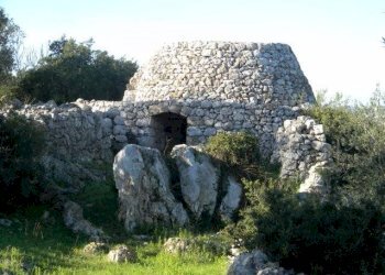 Agricultural land Località Macchia Fersini-Primitivo, Salve - photo 8