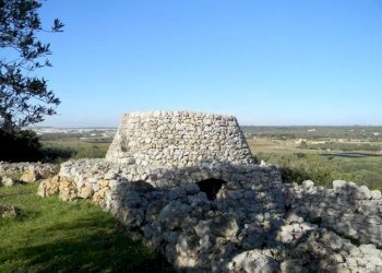 Agricultural land Località Macchia Fersini-Primitivo, Salve - photo 9