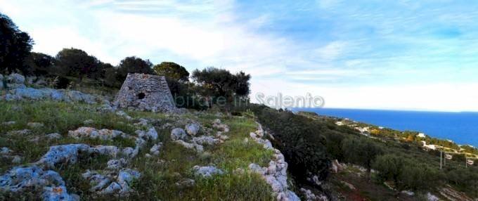Terreno agricolo Gagliano del Capo - foto 1