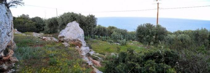 Terreno agricolo Gagliano del Capo - foto 2