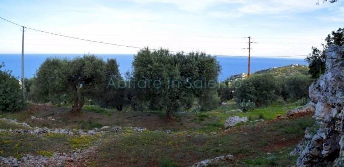 Terreno agricolo Gagliano del Capo - foto 3