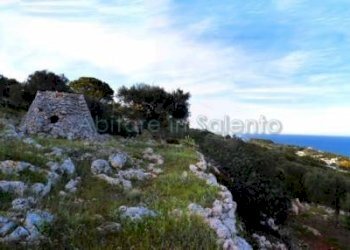 Terreno agricolo Gagliano del Capo - foto 1