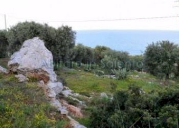 Terreno agricolo Gagliano del Capo - foto 2