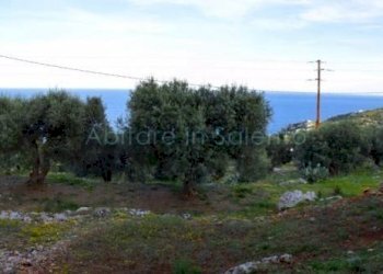 Terreno agricolo Gagliano del Capo - foto 3