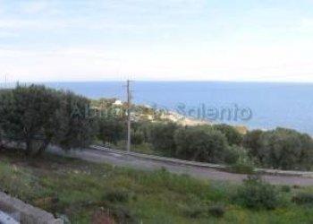 Terreno agricolo Gagliano del Capo - foto 4