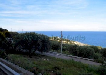 Terreno agricolo Gagliano del Capo - foto 5