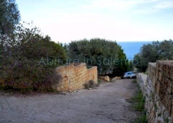 Terreno agricolo Gagliano del Capo - foto 7