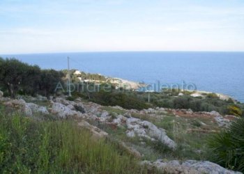 Terreno agricolo Gagliano del Capo - foto 8