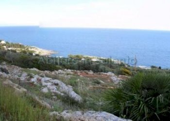 Terreno agricolo Gagliano del Capo - foto 9