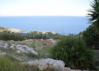 Terreno agricolo Gagliano del Capo - foto 10
