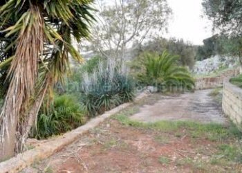 Terreno agricolo Gagliano del Capo - foto 11