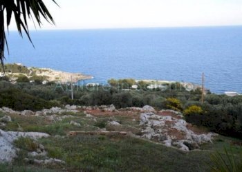 Terreno agricolo Gagliano del Capo - foto 13