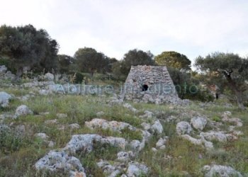 Terreno agricolo Gagliano del Capo - foto 15