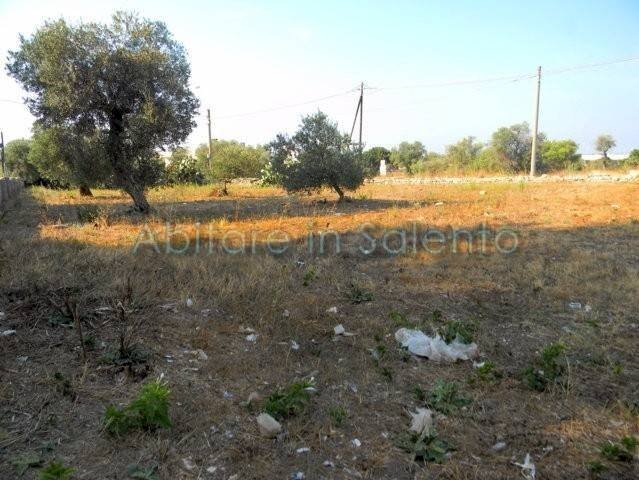 Building land Castrignano del Capo - photo 2