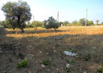 Terreno edificabile Castrignano del Capo - foto 2