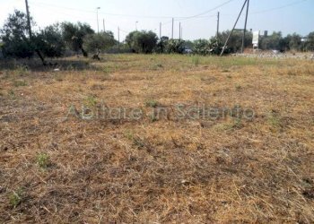 Terreno edificabile Castrignano del Capo - foto 4