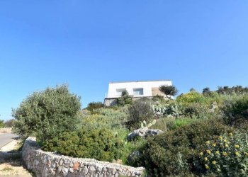 Terreno - Villa Morciano di Leuca - foto 41