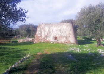 Rustic via della Tortorella, Salve - photo 7