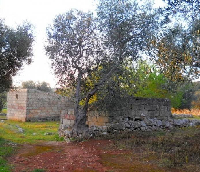 Casa indipendente Castrignano del Capo - foto 2