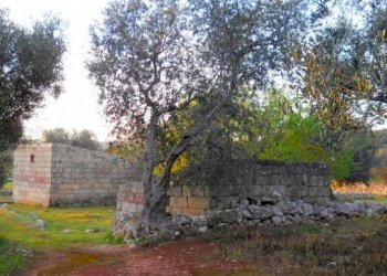 Casa indipendente Castrignano del Capo - foto 2