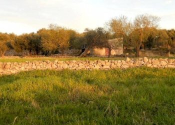 Casa indipendente Castrignano del Capo - foto 4
