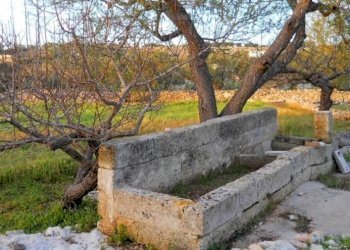 Casa indipendente Castrignano del Capo - foto 6