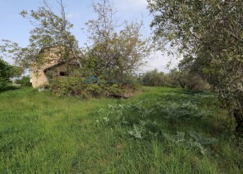 Single Family Villa C.da mattonelle, Controguerra - photo 7