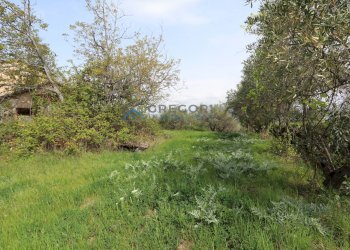 Single Family Villa C.da mattonelle, Controguerra - photo 9