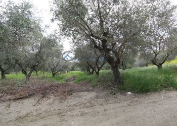 Single Family Villa C.da mattonelle, Controguerra - photo 19