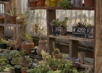 Attività Commerciale Piazza anfiteatro, Lucca - foto 10