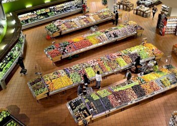 Attività Commerciale Piazza anfiteatro, Lucca - foto 14