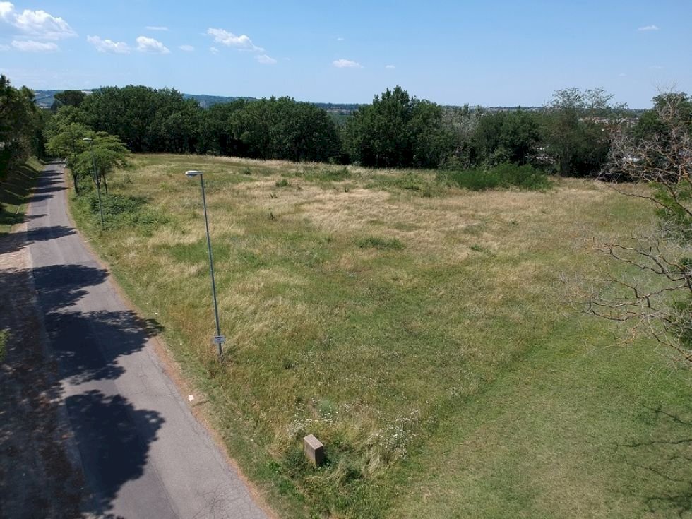 Terreno agricolo Imola - foto 3