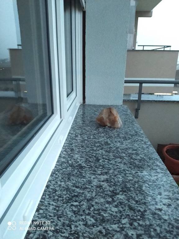 Dettagli esterno - Trilocale via Vernea, Nichelino - foto 2