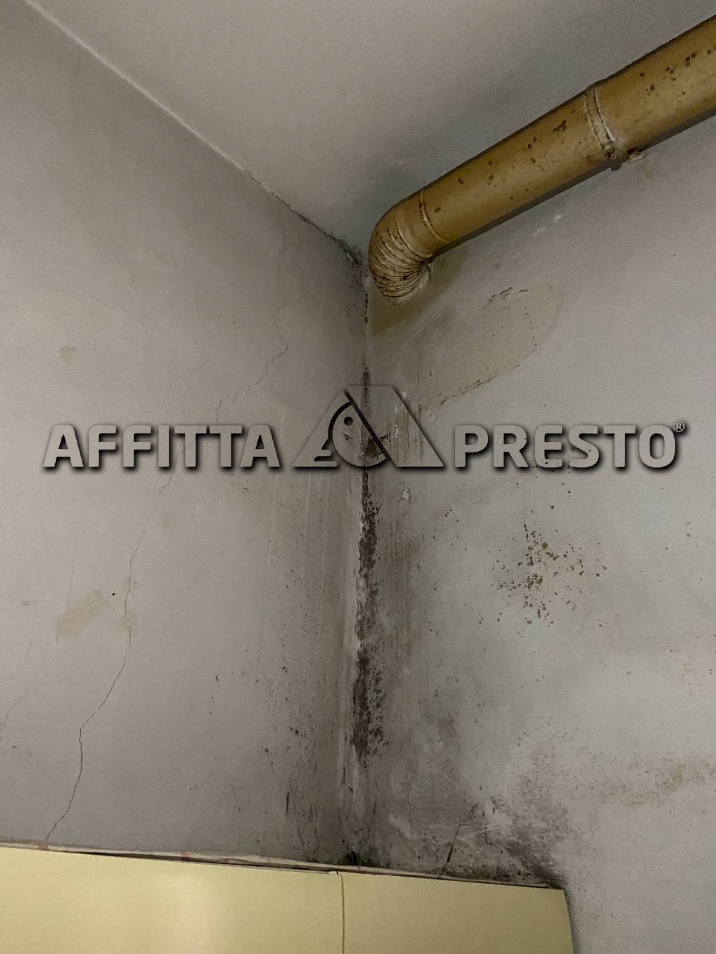 Trilocale Via Pietro Paoli, Livorno - foto 3