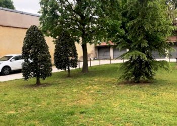 Appartamento Fusignano - foto 3