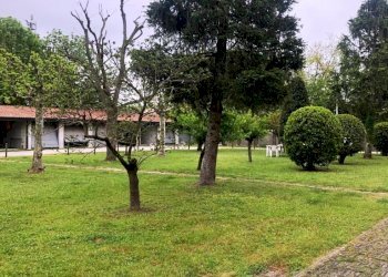 Appartamento Fusignano - foto 4