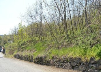 terreno - Terreno edificabile via Alleu, Strambinello - foto 6