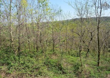 terreno - Terreno edificabile via Alleu, Strambinello - foto 7