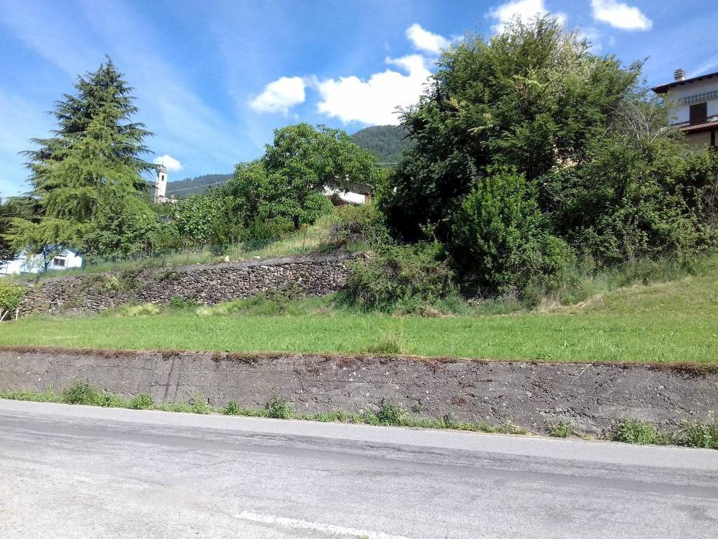 Terreno edificabile Castione Andevenno - foto 3