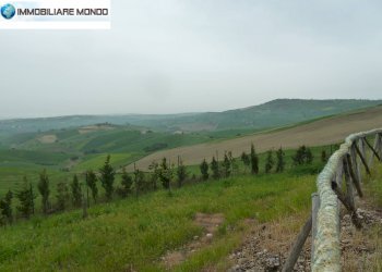 Rustico Strada Comunale Fonte di Bisaccia, Montenero di Bisaccia - foto 25